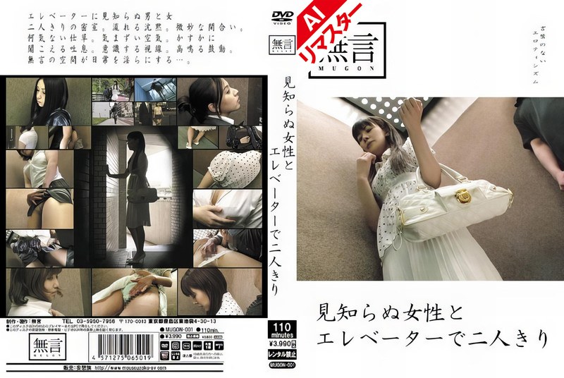 【AIリマスター版】見知らぬ女性とエレベーターで二人きり（h_1502remugon00001）レビュー【妄想族／無言/妄想族】